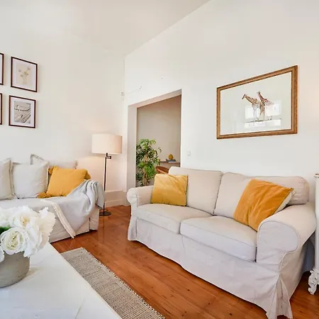 Msapartments